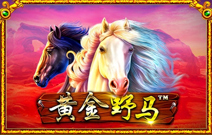 pc28软件下载截图0