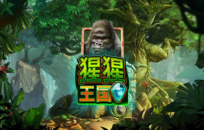 d3顶盛体育平台
